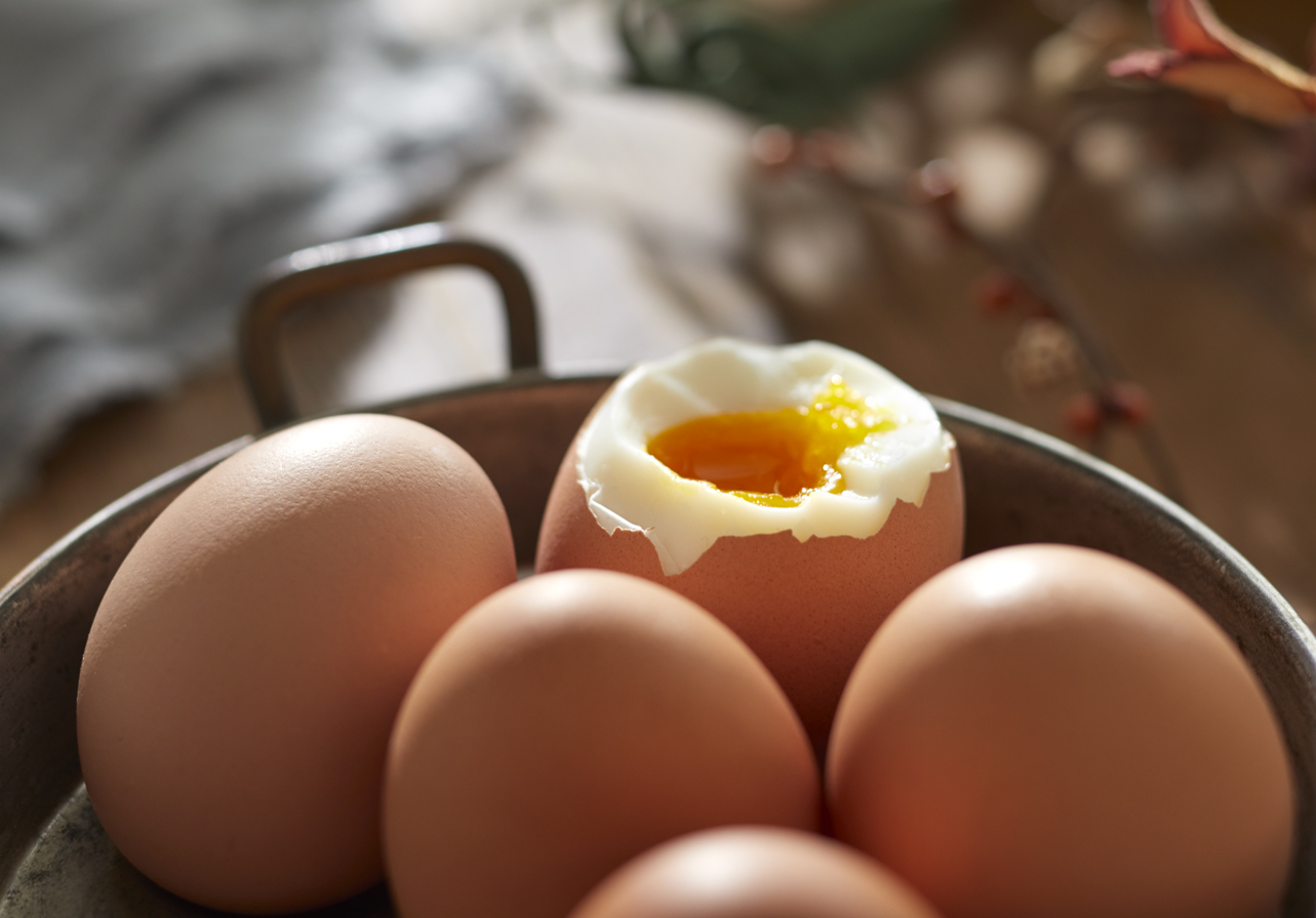 CNP_CK_Eggs_v1-apf