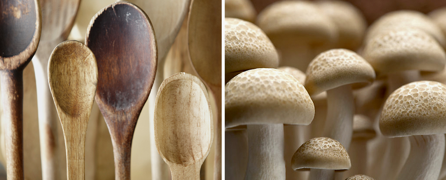 Wooden Spoons Mushrooms Christopher Nastri